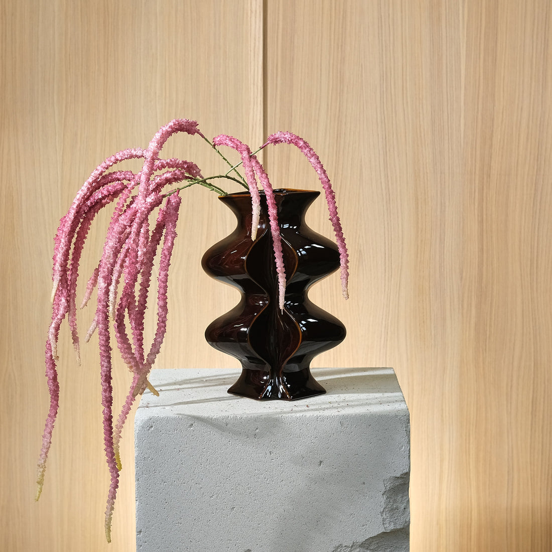 Amaranthus Lila Kostblomma 130 cm