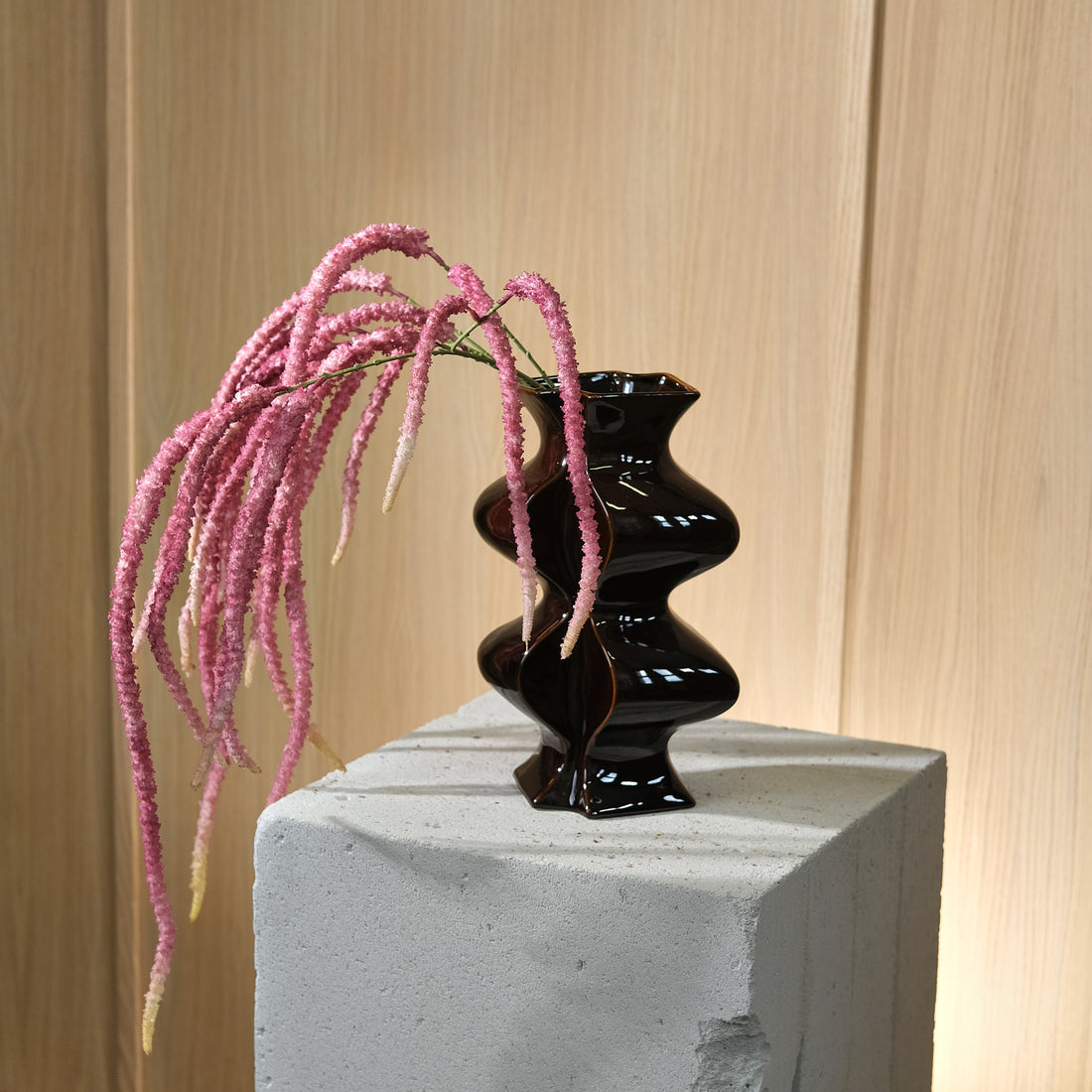 Amaranthus Lila Kostblomma 130 cm